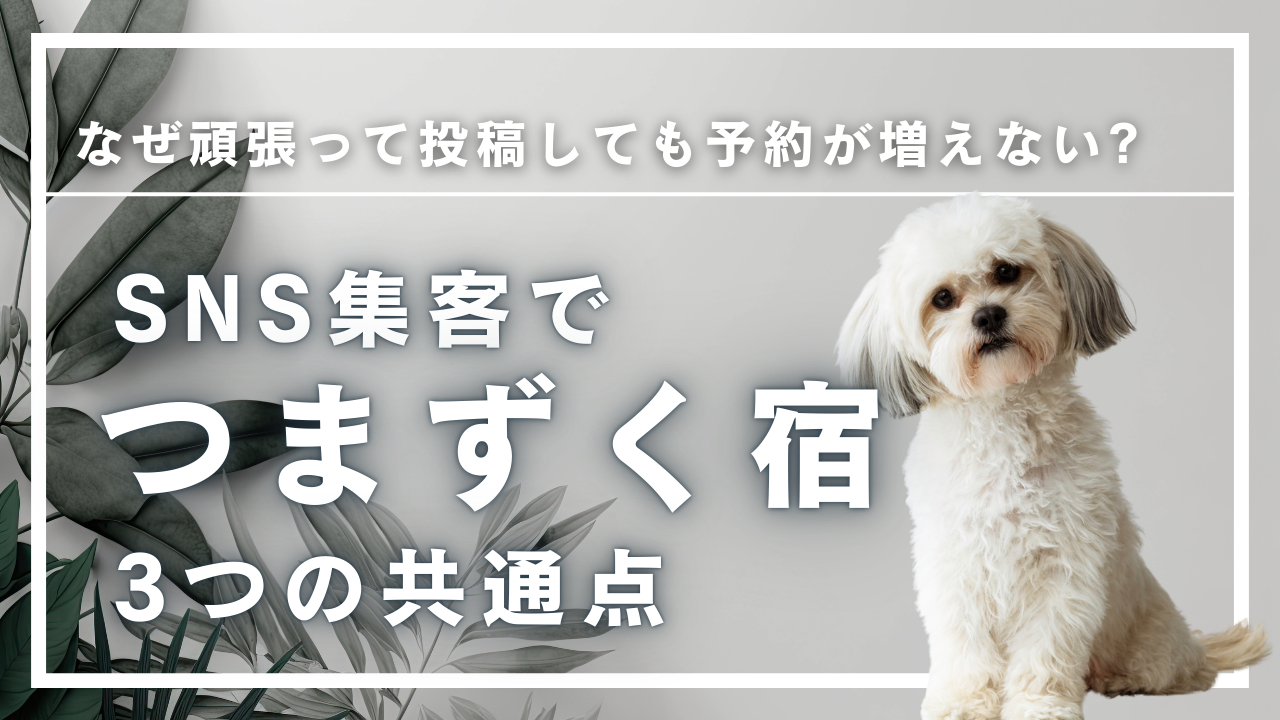 【ペット可宿向け】  なぜ頑張って投稿しても予約が増えない？ SNS集客でつまずく宿の共通点