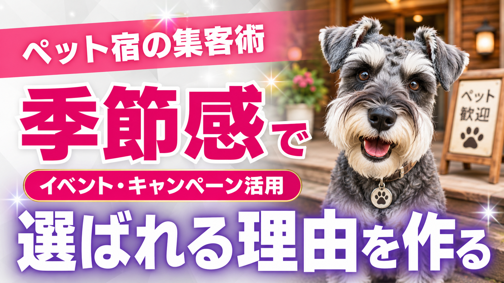 【ペット可の宿向け】集客UP！季節イベント＆キャンペーン